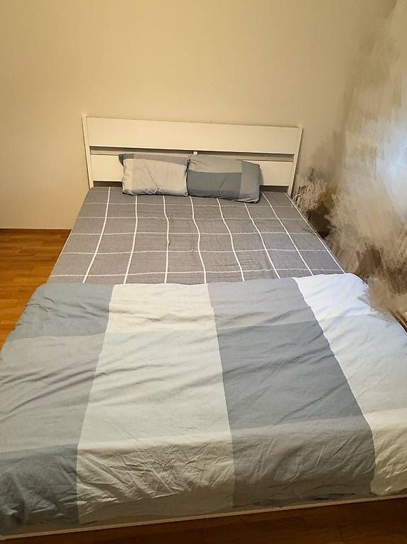 Letti: Gratis: IKEA TRYSIL Bettgestell/Lattenrost/Matratze – Usato da Luzern venduto da her_8zt9 2