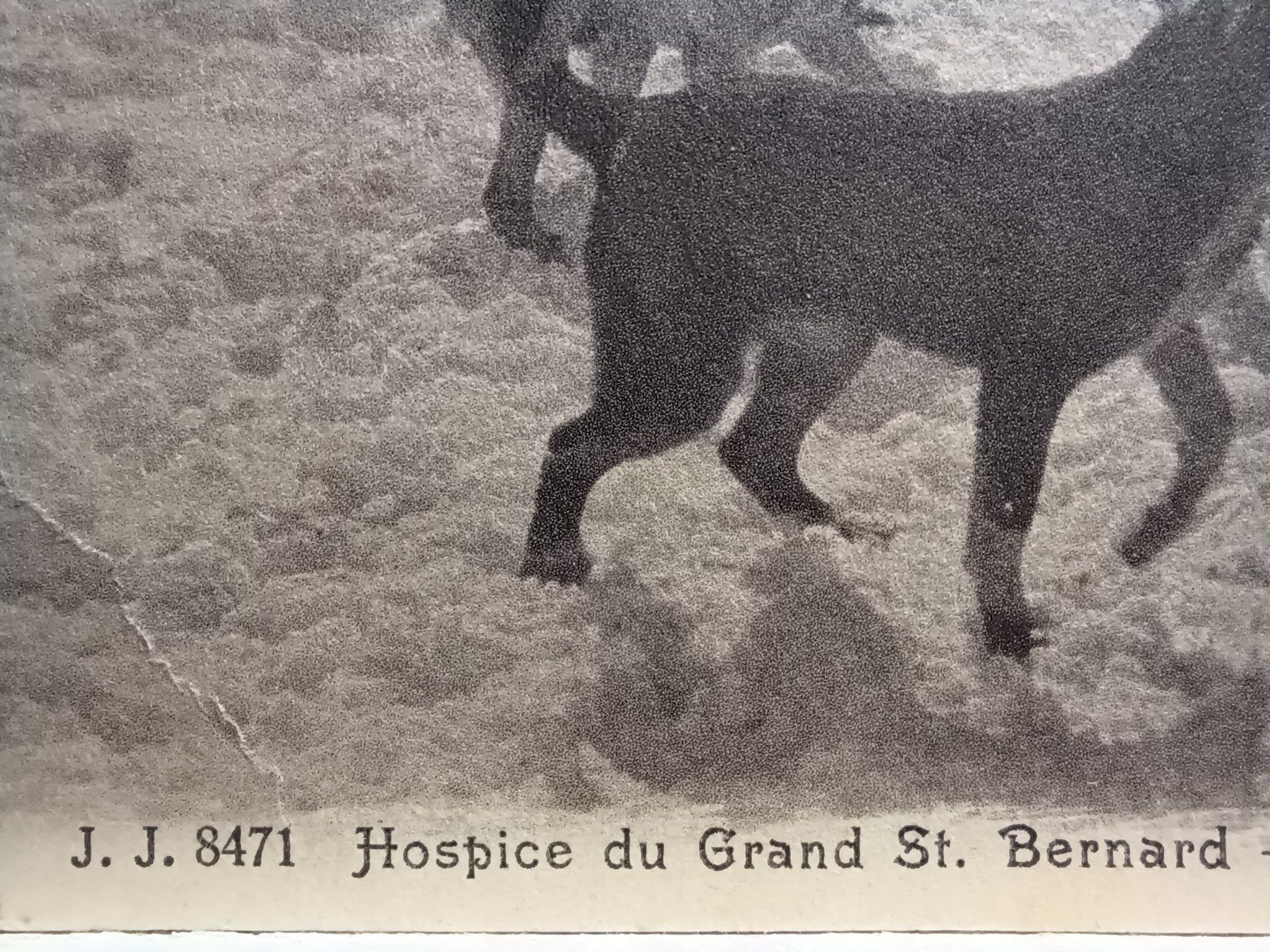 Cartoline postali: VS, "Hospice du Grand St. Bernard" No.8471 – Usato da Aarau Rohr venduto da mgvw 1
