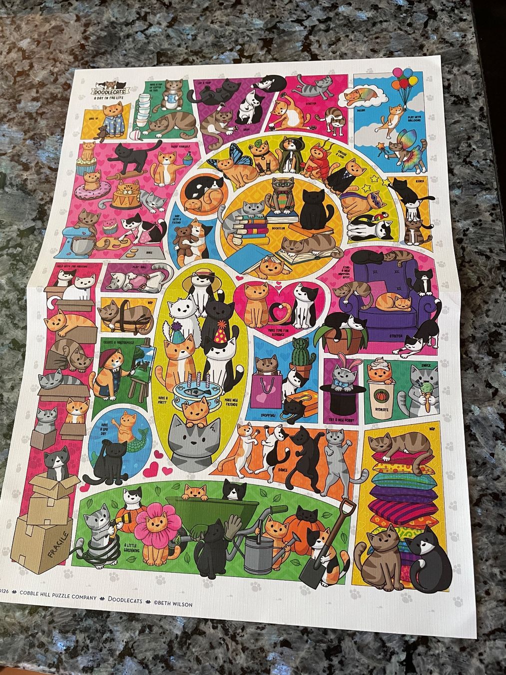 Puzzle: Comic Puzzle DOODLE CATS  1000 Teile  (random cut) – Usato da buch am irchel venduto da Hildoceras 2