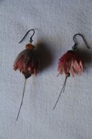 Ohrhänger extravagant