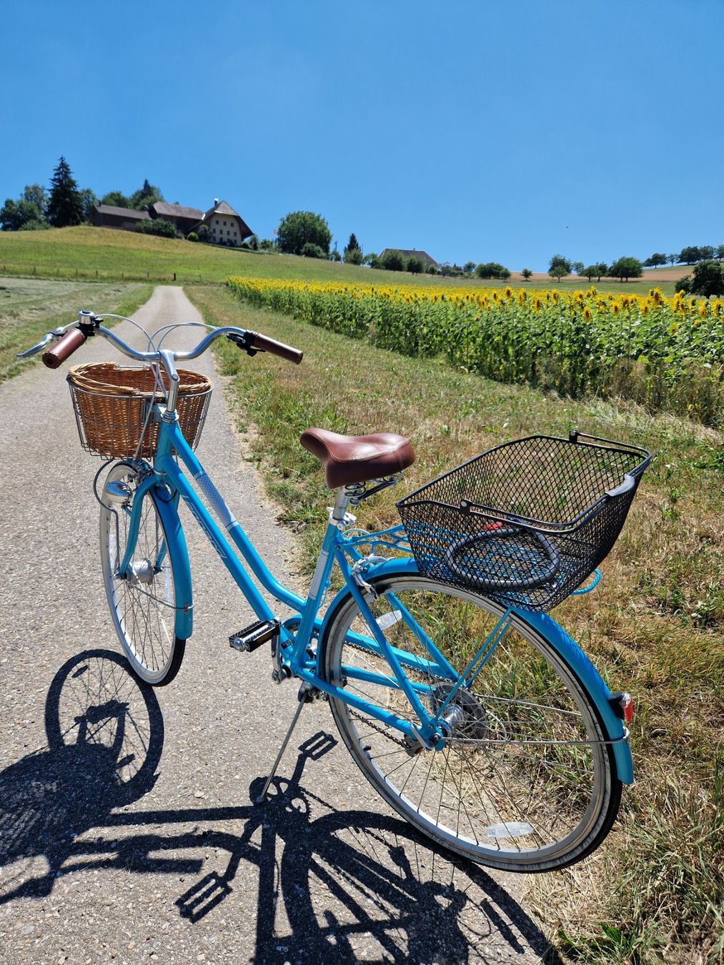 Leopard Biciclette: Zu Verkaufen Damenvelo – Usato da Niederönz venduto da nydi65 1