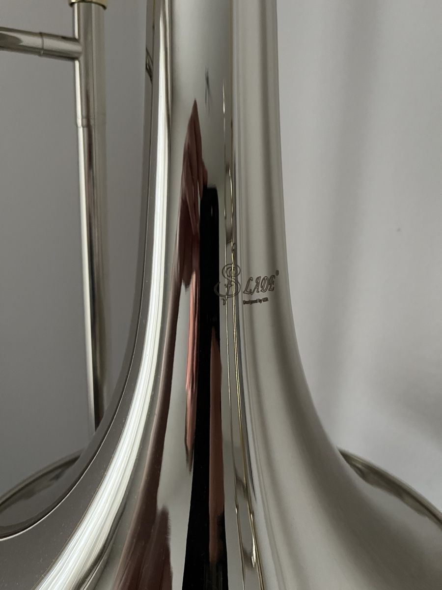 Strumenti musicali: TOP Posaune NEU mit Quartventil – Nuovo (secondo la descrizione) da Hochdorf venduto da Dany44 2