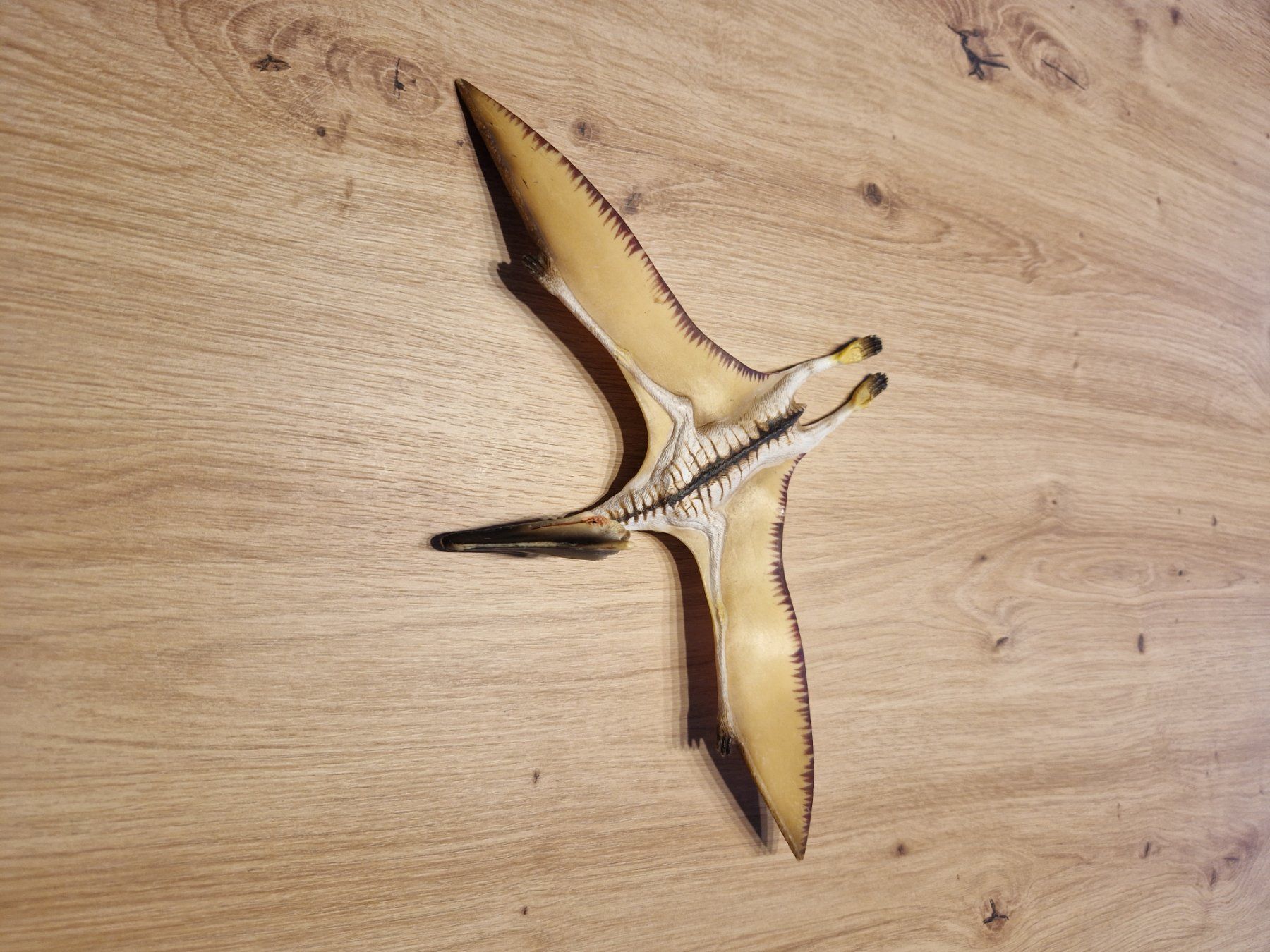 Schleich Spielzeuge: Zu Verkaufen Flugsaurier – Gebraucht aus Niederönz von nydi65 1