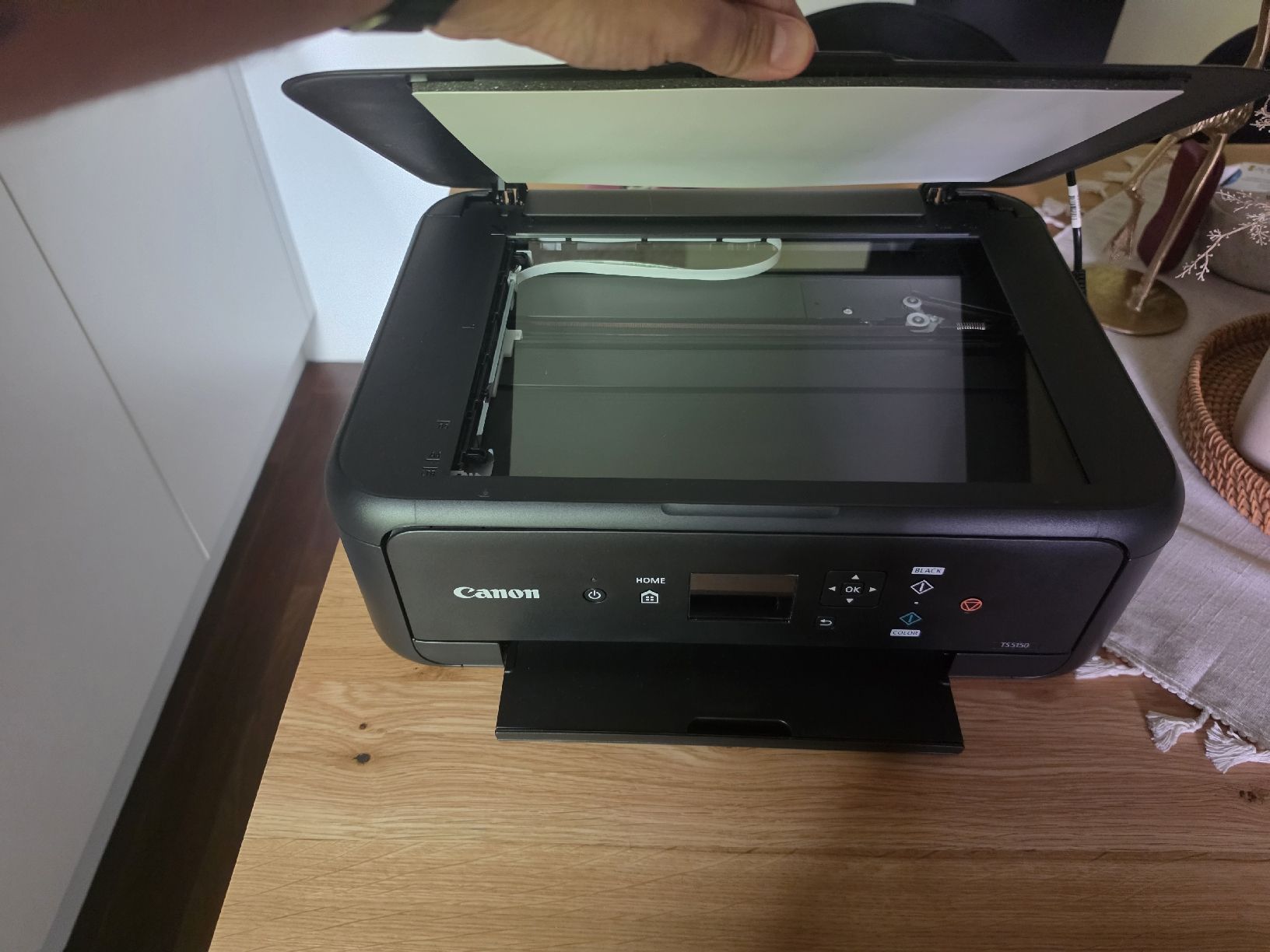 Canon Drucker: Canon TS5150 Drucker gebraucht – Gebraucht aus Zürich von domoli09 3