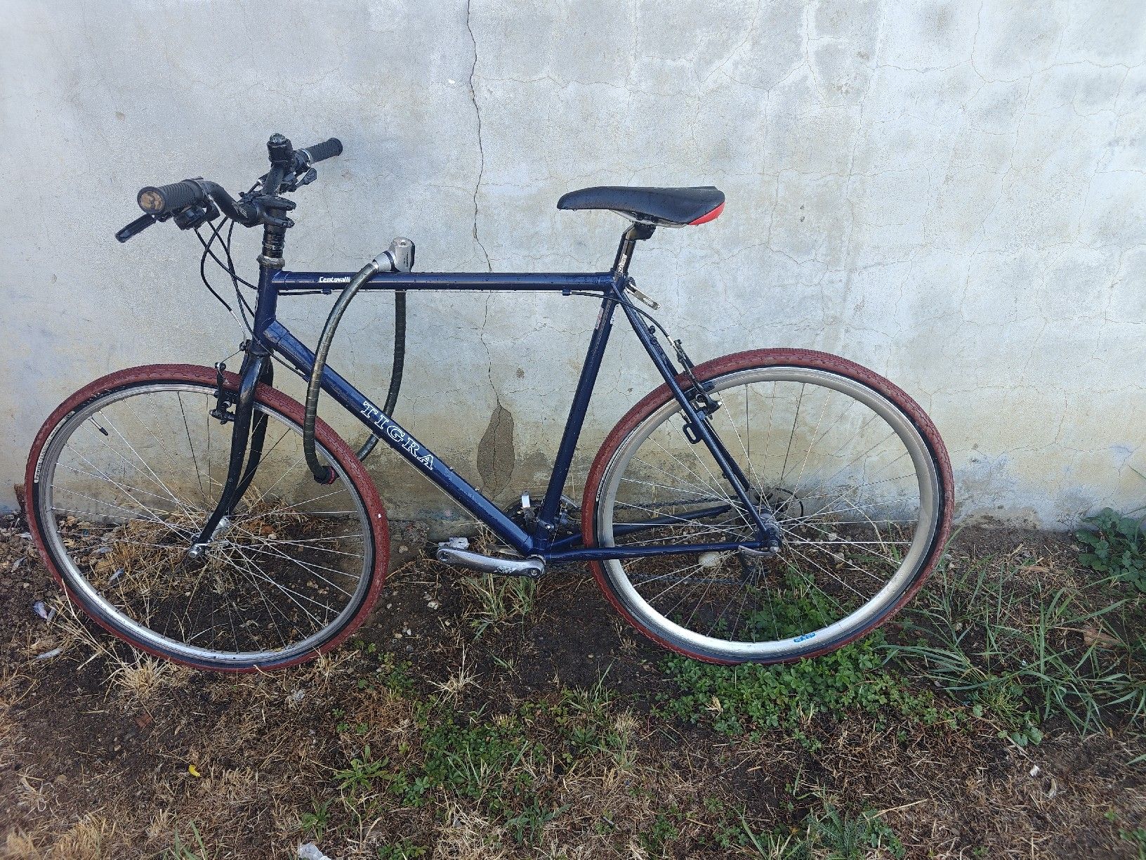 Velos: Vélo Tigra bleu – Gebraucht aus La Sarraz von 1712dan