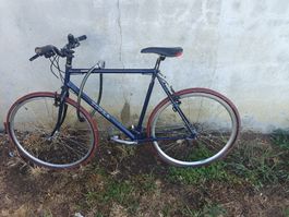 Vélo Tigra bleu