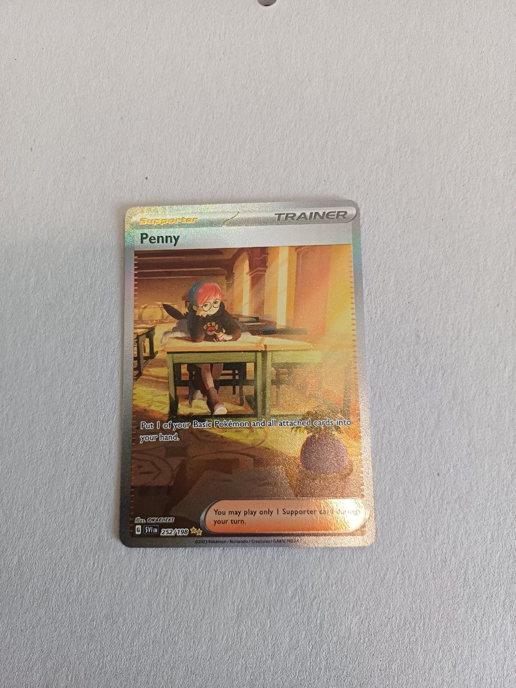 Pokémon Carte collezionabili: Penny - Alternative - 252/198 - EN – Nuovo (secondo la descrizione) da Bernex venduto da Adrieneagle