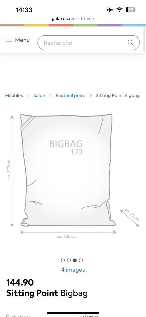Poltrone: Bigbag /Pouf – Usato da Riehen venduto da Loretxutxu 4