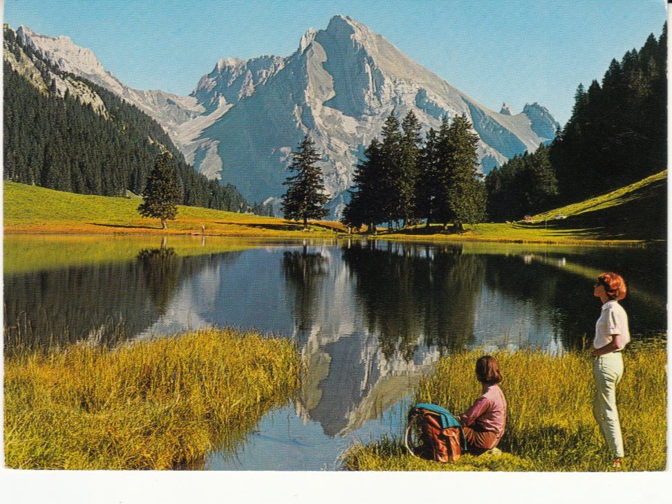 Cartoline postali: Gräppelensee ca. 1970 – Usato da Bürglen TG venduto da StampGraf