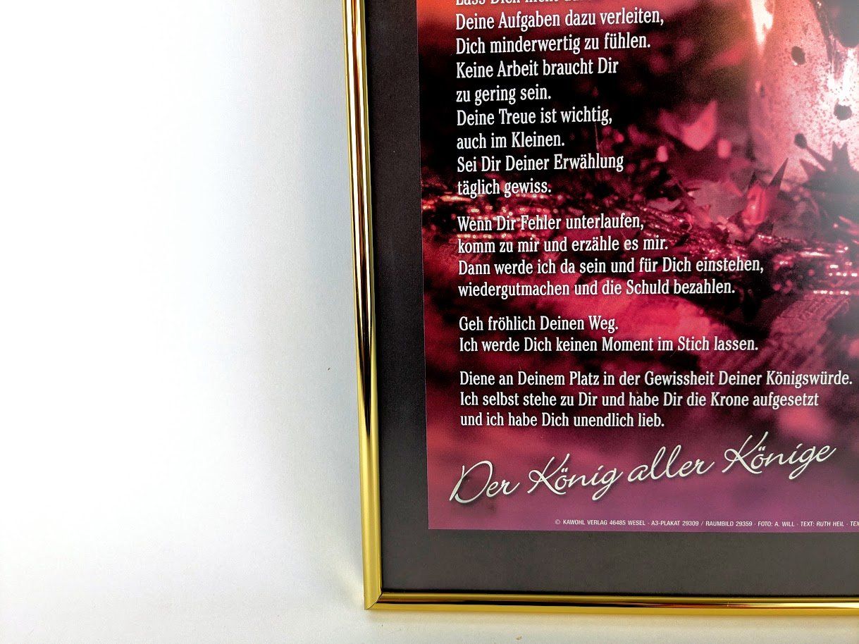 Foto & Immagini: BILD „Königswürde“ mit Rahmen – Usato da Thun venduto da Restwert_Thun 2