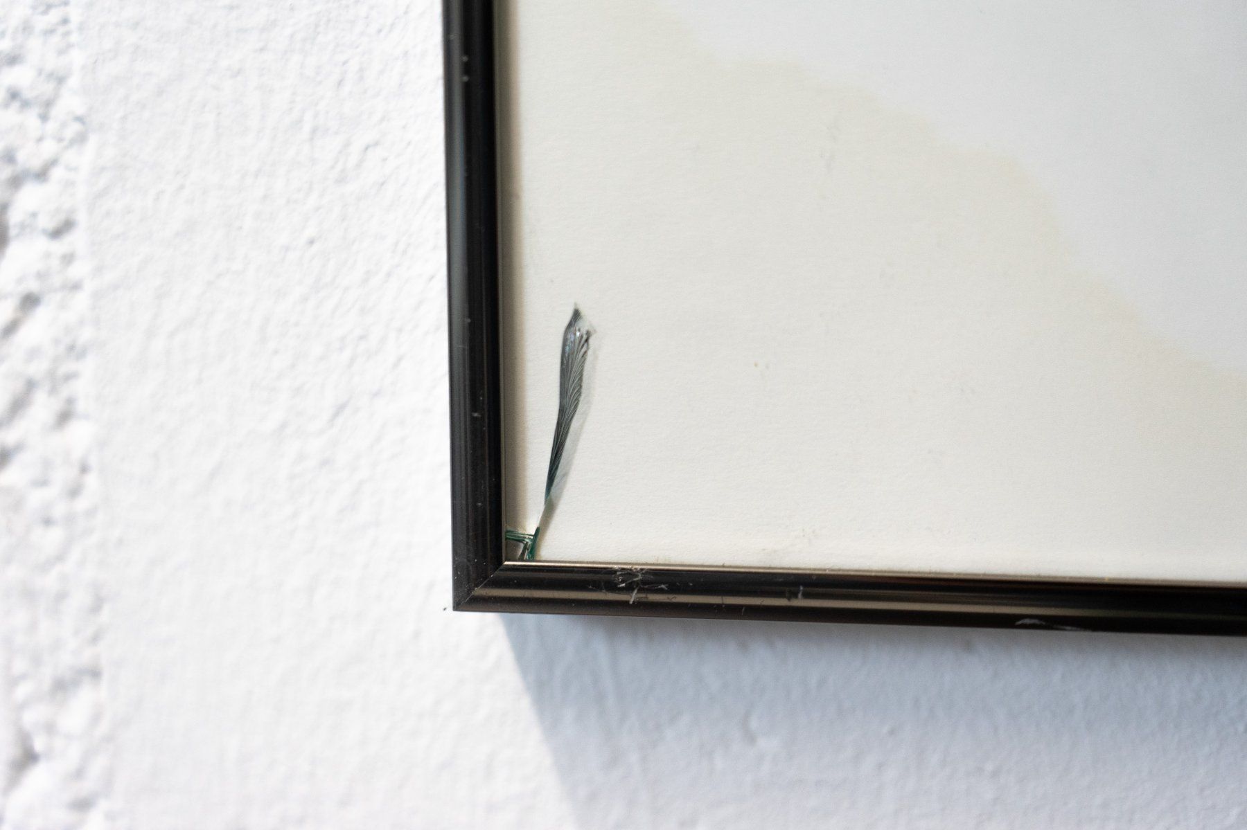 Foto & Immagini: Kunstdruck Nr. 13 - Versand möglich – Usato da Schaffhausen venduto da Studio-Ara 5