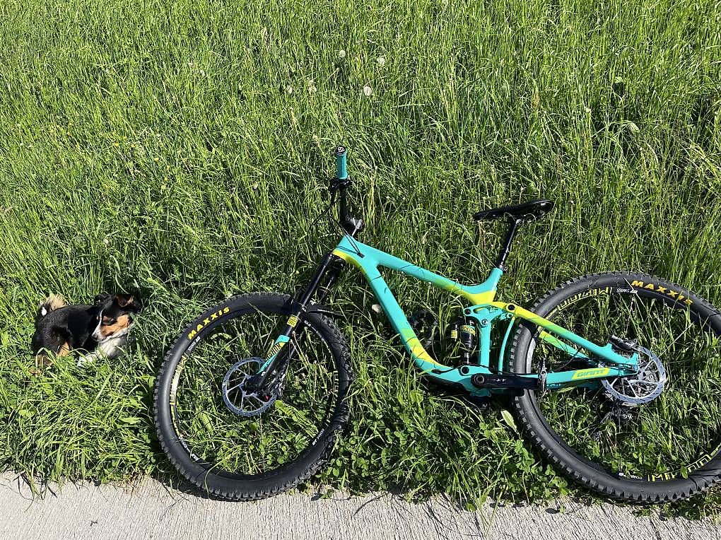 Biciclette: Mountainbike – Usato da Kerns venduto da ett_z5zz