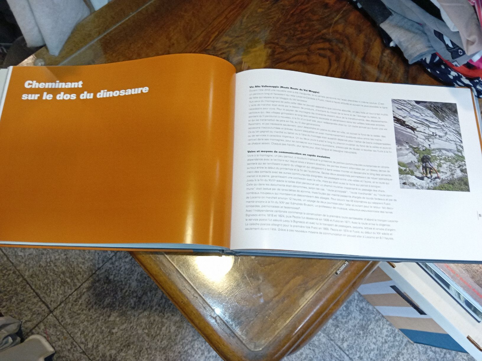 Libri: Libro Via Alta della Vallemaggia  – Usato da Biasca venduto da Old_6blh 1