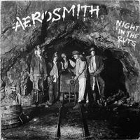 Aerosmith - Night in the Ruts LP