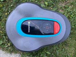 Sileno minimo 250 - sehr guter Zustand