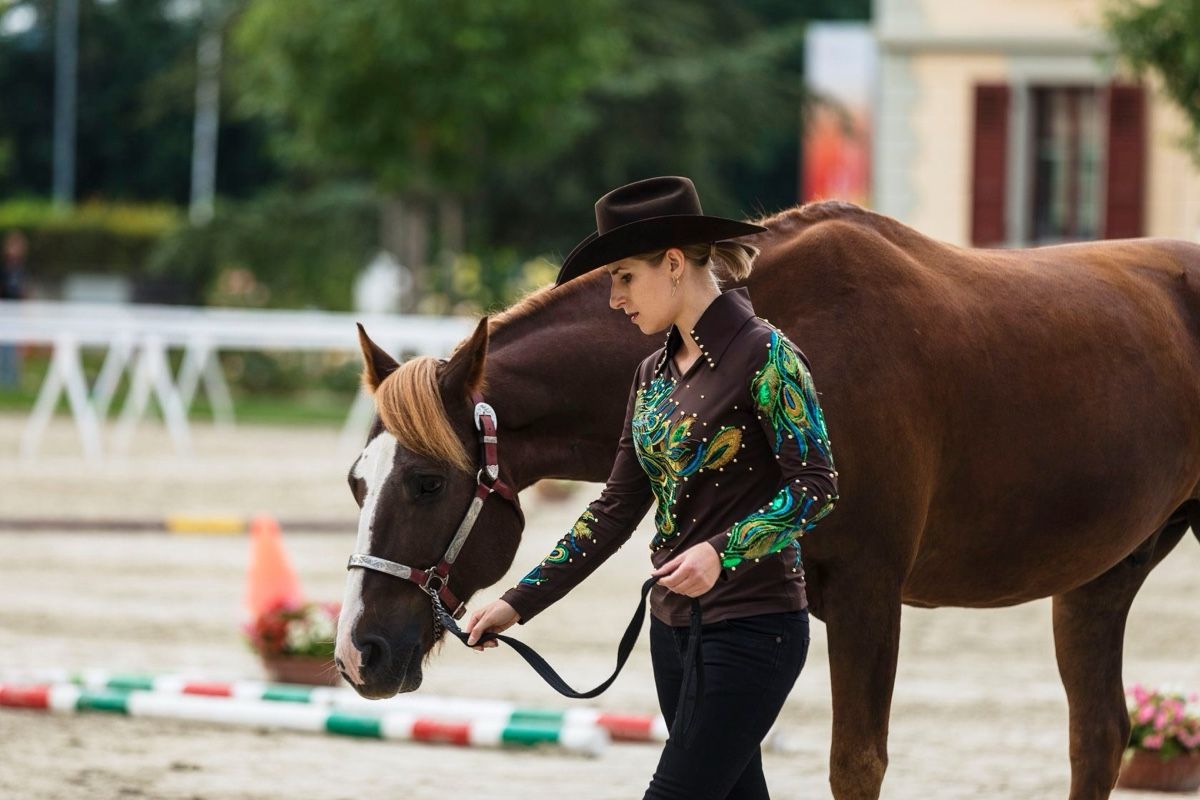 Camicette: Chemise de show équitation western – Nuovo (secondo la descrizione) da Chêne-Pâquier venduto da ofly_1987 3