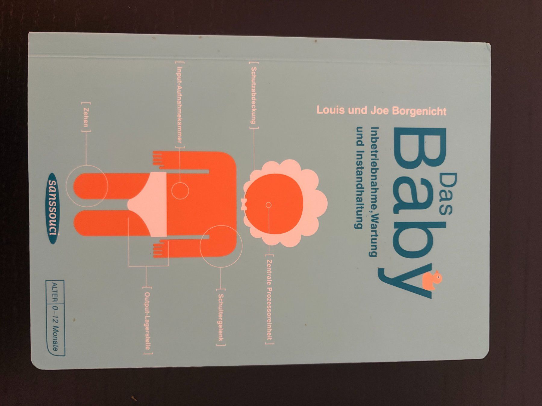 Libri: Diverse Ratgeber Papa werden – Usato da Chur venduto da psn_vq5l