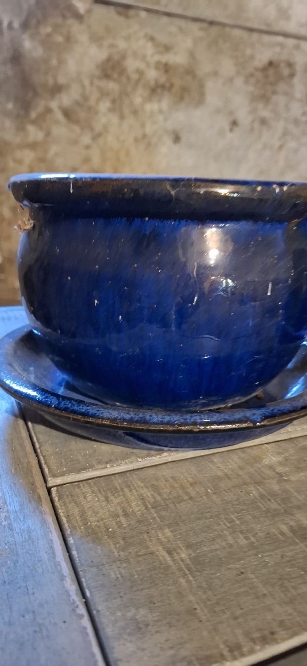 Coop Vasi per fiori: 3er Set: Blaue Tontöpfe mit Untersetzer – Usato da Wichtrach venduto da Sunneblueme7 1