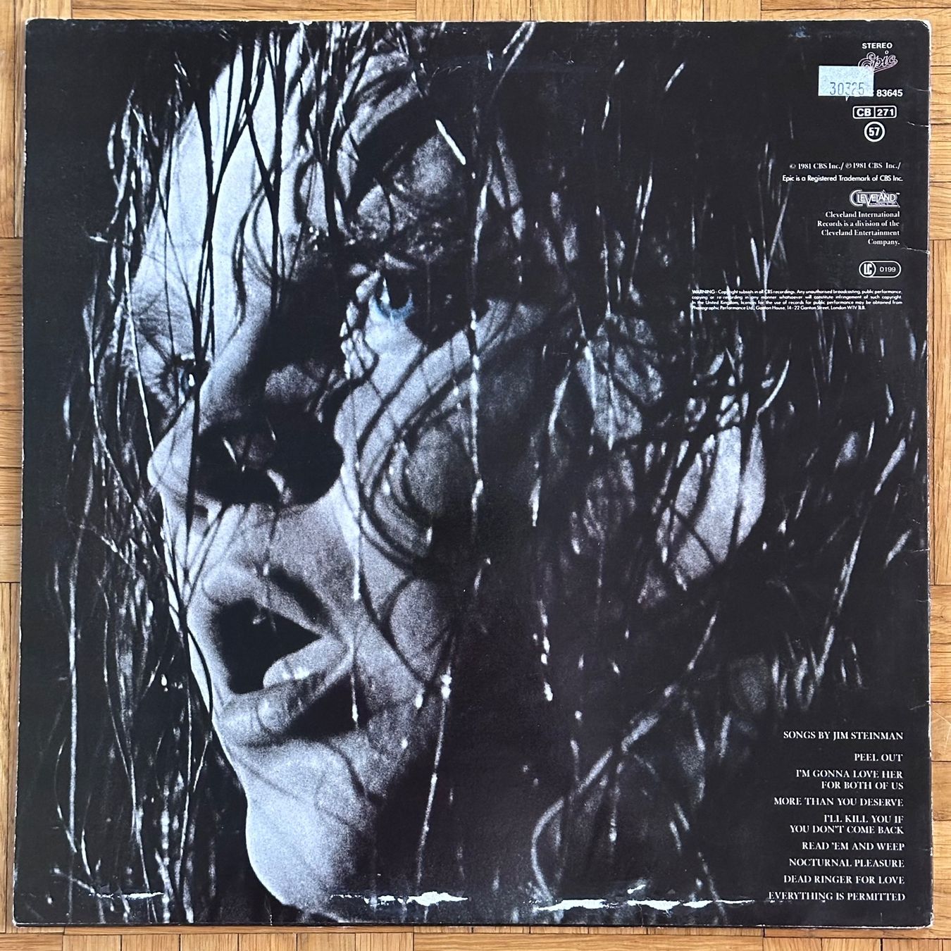 Dischi in vinile: LP - Meat Loaf - Dead Ringer – Usato da Breganzona venduto da Onairda75 1