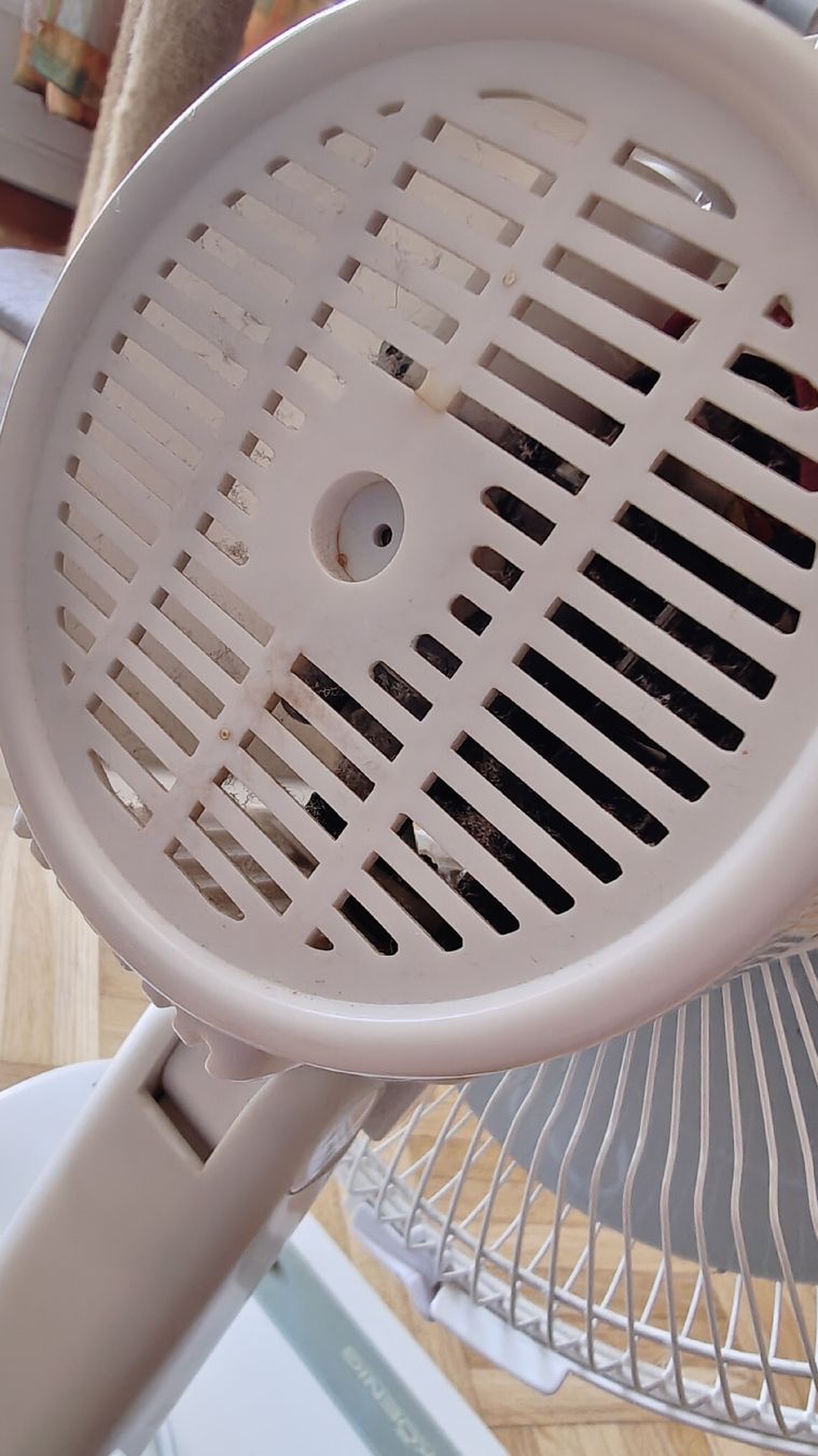 König Ventilateurs: Ventilator "Koenig" gebraucht – D'occasion à Effretikon par Superkarin7 1