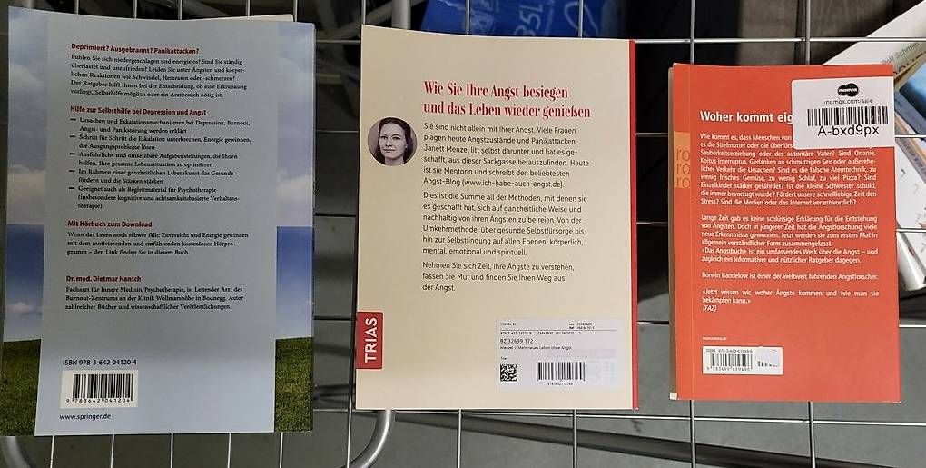 Livres: Ratgeber zum Thema Angst – D'occasion à Lyss par Petrulla02 1