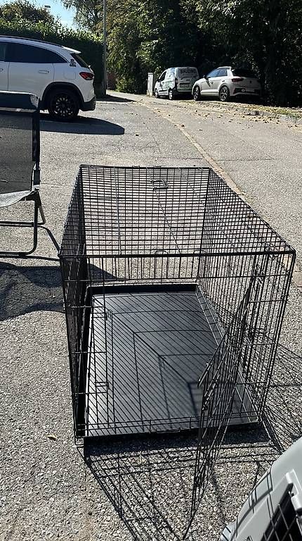 Gabbie, trasporto & Sicurezza: Gabbia per animali – Usato da Cadro venduto da rac_cw68 1