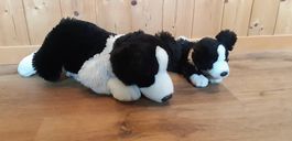 Zwei herzige Bordercollie Plüschtiere