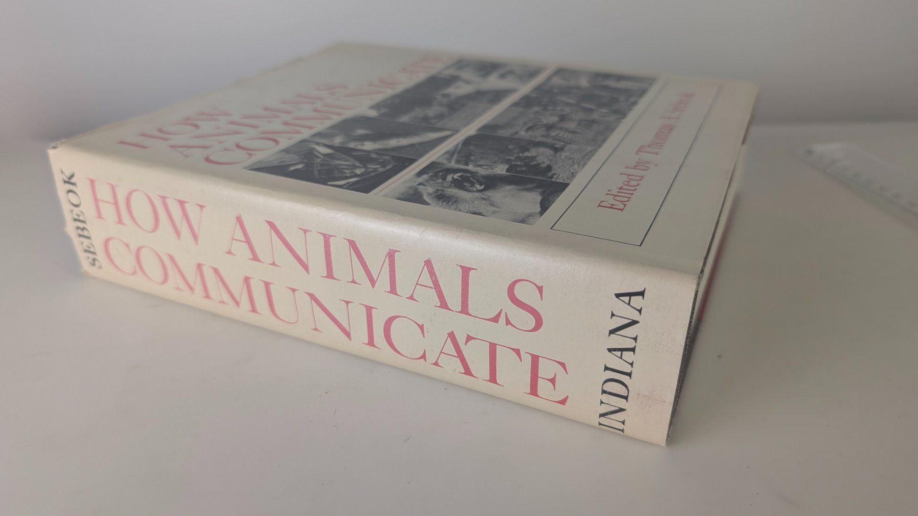 Bücher: How Animals Communicate, 1977 Thomas A. Sebeok – Gebraucht aus Zürich von 1.Simon 1