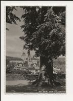 AK ca.1930 Zürich Blick vom Lindenhof