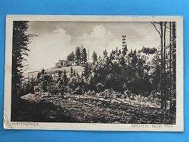 Alte Ansichtskarte Bachtel-Kulm 1912