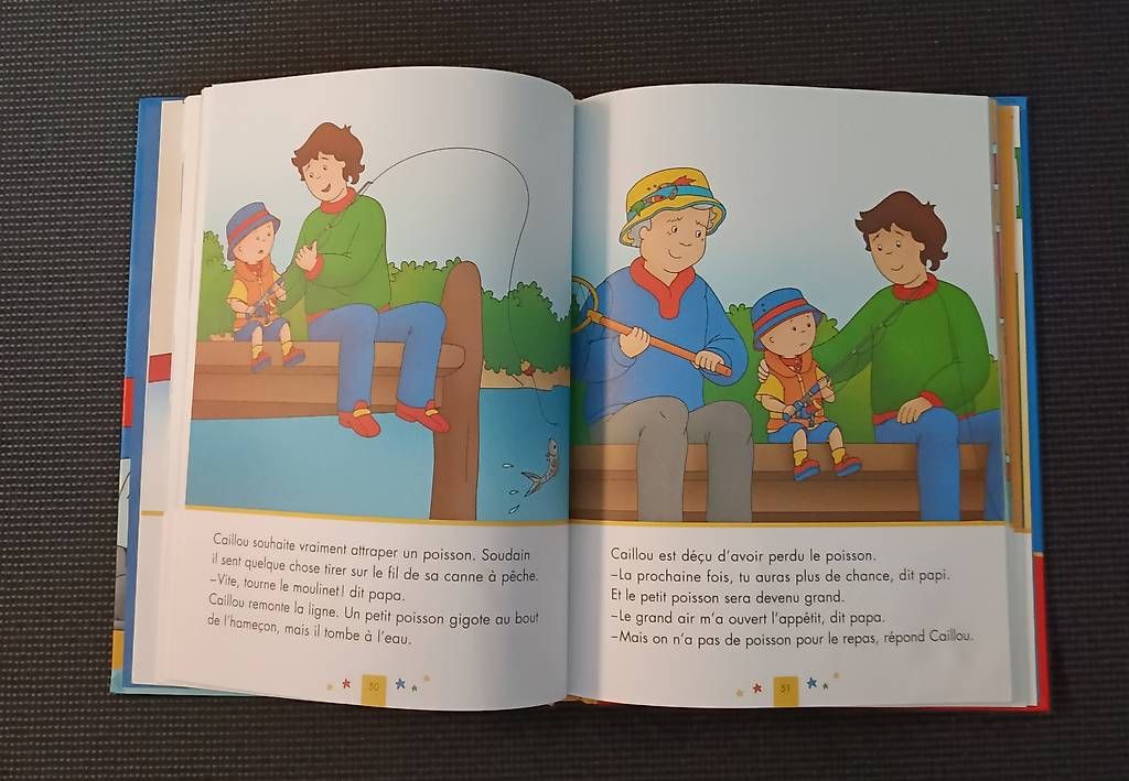 Libri: Caillou - mes histoires du soir – Usato da Münchenstein venduto da Bouba3 2