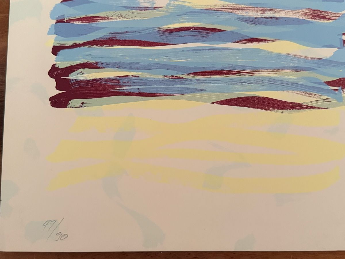 Arts picturaux & lithographies: Lithographie 42x31cm – D'occasion à Solothurn par NUVICO 1