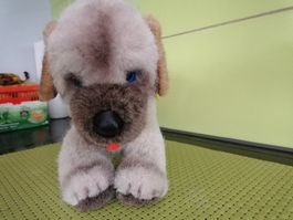 Steiff Hund  welfo Hundewelpe