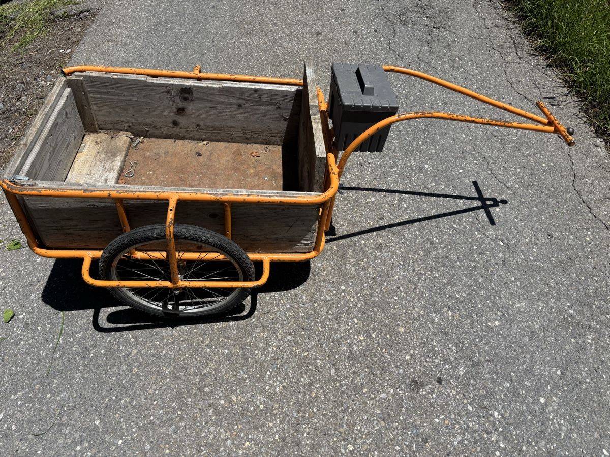 Anhänger: Velo Anhänger  – Gebraucht aus Horboden von nic_7yyp 1