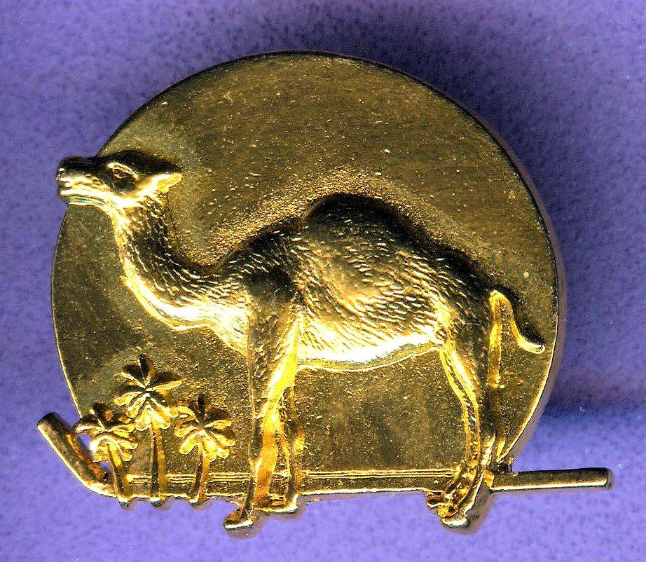 Camel Placchette & Badge: CAMEL   – Usato da Winterthur venduto da Sammleroase