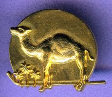 CAMEL  