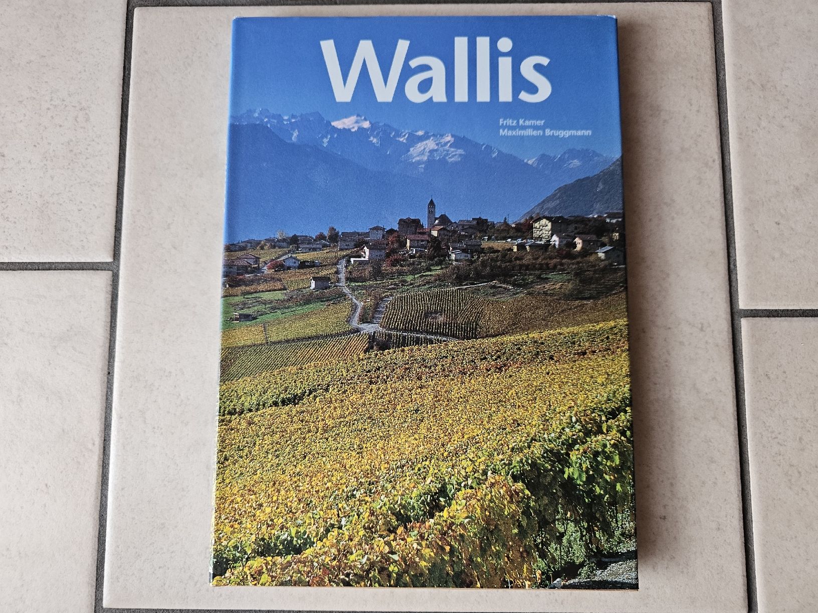 Libri: Wallis  /  176 Seiten – Usato da Schneisingen venduto da backstore24