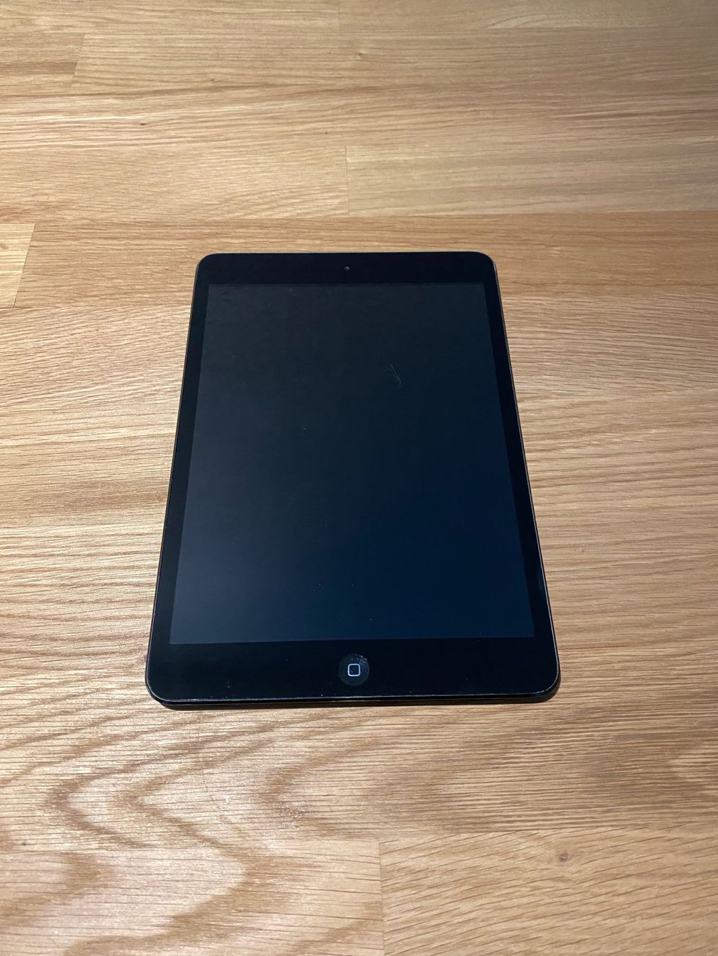 Apple Tablet PC: iPad mini 1st Gen – Usato da Vogorno venduto da dlwlsns 1