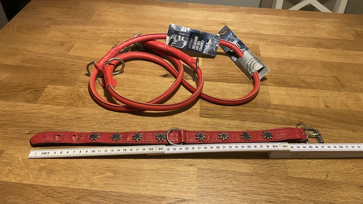 Guinzagli & Collari: Rogz Multi Leine, echtes Leder, rot, Neu, Grösse L – Nuovo e nell'imballaggio originale da Kriens venduto da vesna37210