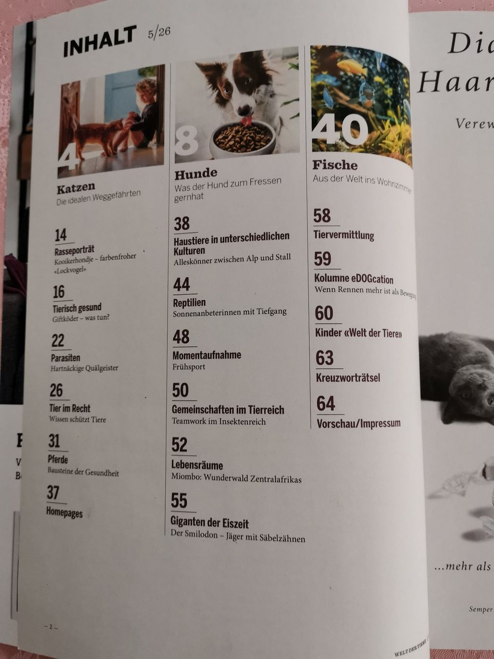 Revues & Magazines: Welt der Tiere – Neuf (Voir description) à Dornach par Hei50 1