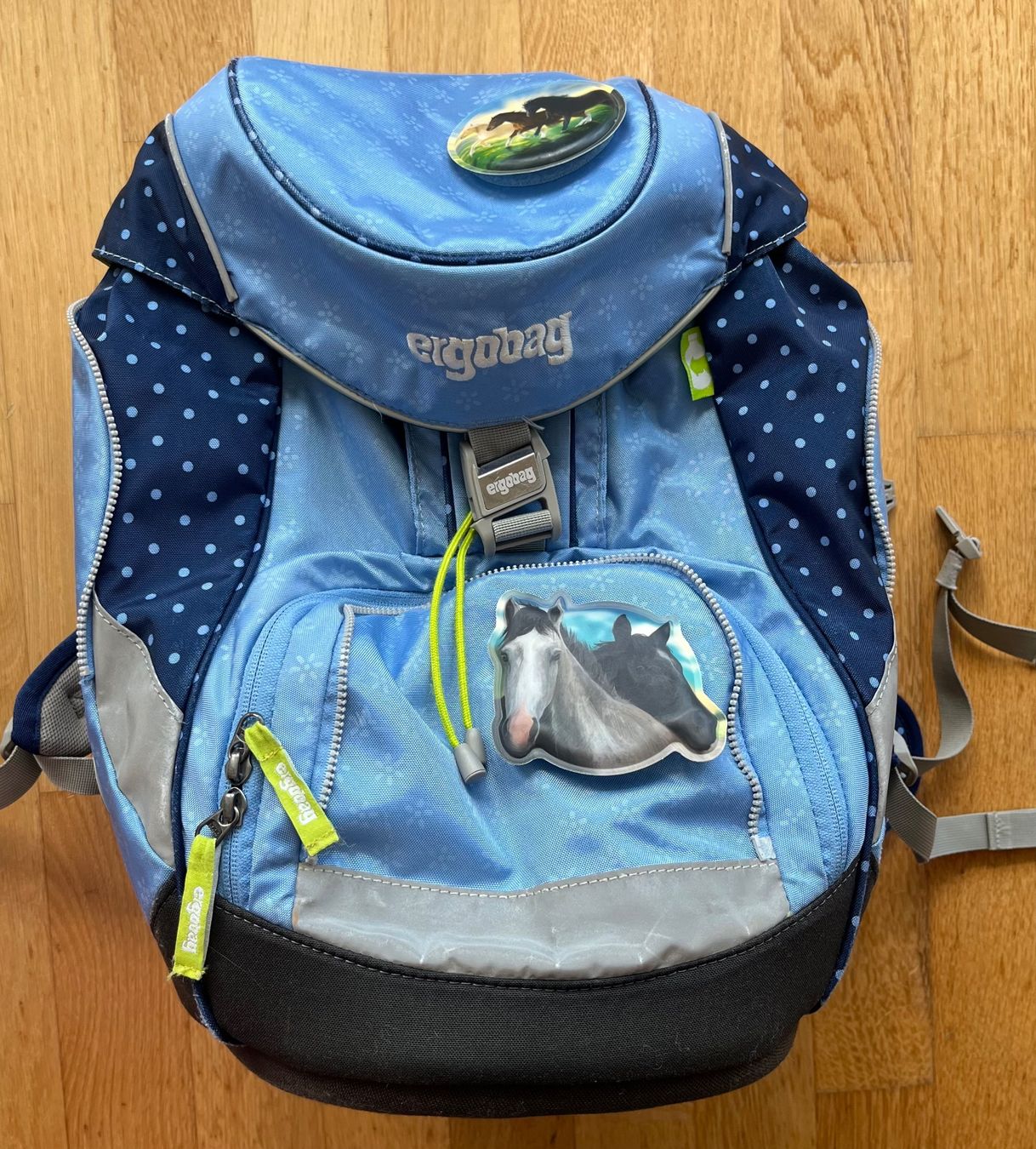Ergobag Borse & Zaini: Ergobag-Set – Usato da St.Gallen venduto da SosoGut 1