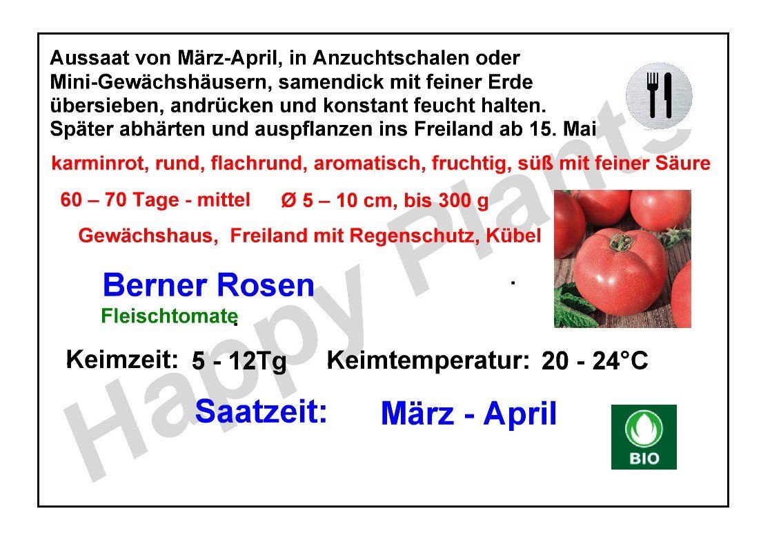 Pflanzen & Samen: Berner Rosen Bio - Fleischtomate - 25 Samen – Neu und originalverpackt aus Sumiswald von Cham14559 1