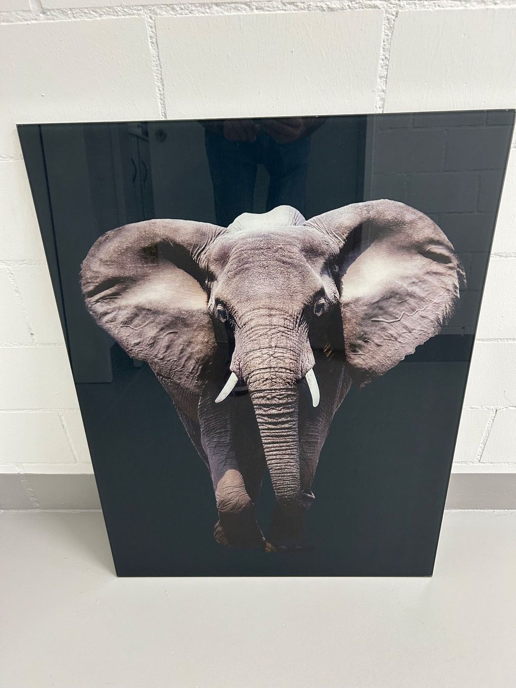 Poster & Bilder: Glas Bild Elefant – Gebraucht aus Wängi von Argon180
