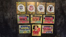 Panini WM 2026 Sticker Konvolut neu