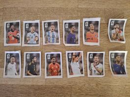 Alle 12 Coca Cola Panini WM 2026 Set