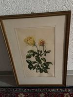 Rosenbild