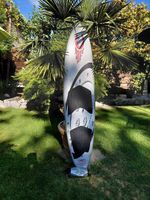 CABRINHA Autopilot Board 6'6"