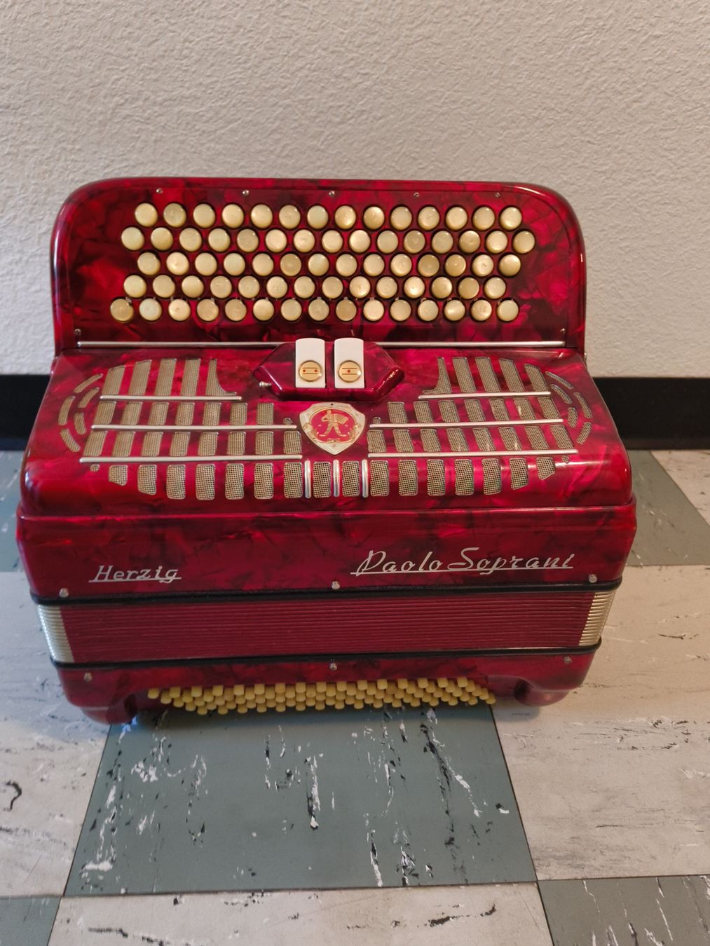 Paolo Soprani Strumenti musicali: Handorgel Herzig Paolo Soprani – Usato da stettlen venduto da VintageBern_ch