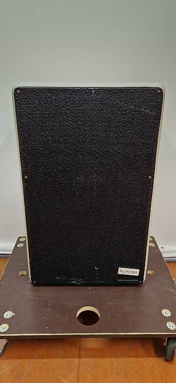 Metalli preziosi: EV PI100 100W [1192] – Usato da St. Gallen venduto da RR_SonicDesign