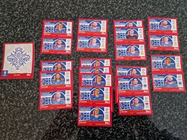 Topps Euro 2024 - Iceland